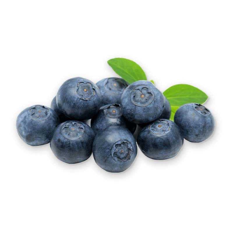 Fresh blue berry - 2