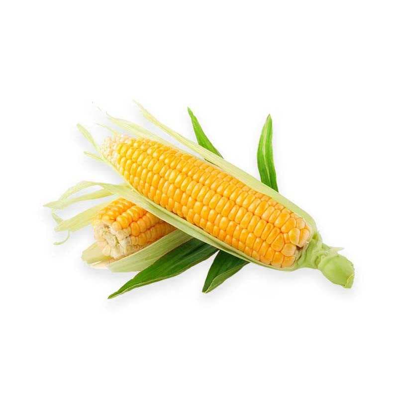 Mexico corn - 2